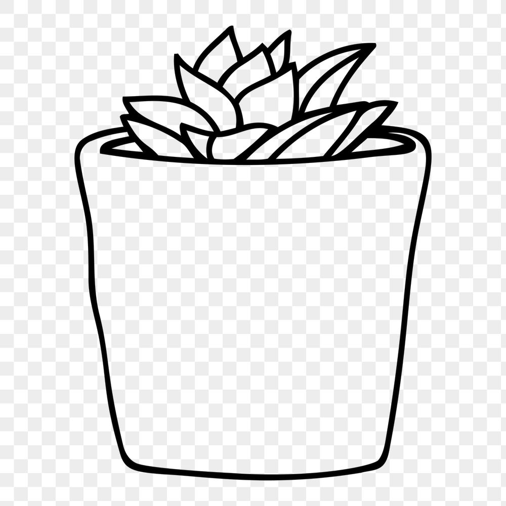 Potted succulent png sticker, houseplant | Free PNG - rawpixel
