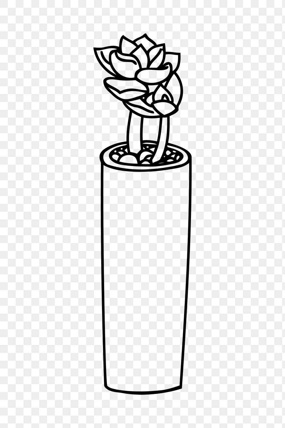 Potted succulent png sticker, houseplant | Free PNG - rawpixel