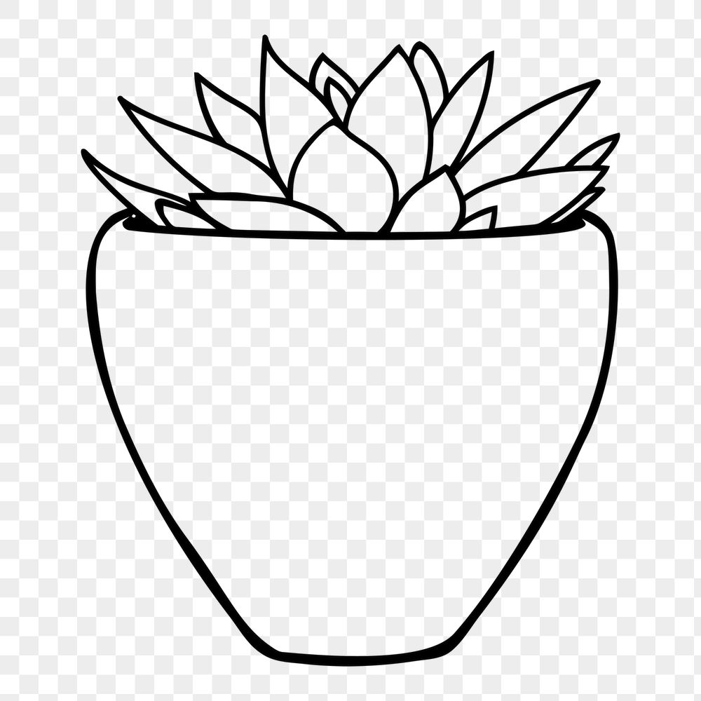 Potted succulent png sticker, houseplant | Free PNG - rawpixel