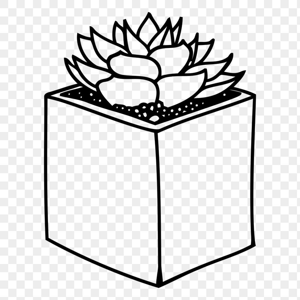 Potted succulent png sticker, houseplant | Free PNG - rawpixel
