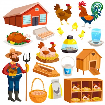 Poultry farm elements set Free Vector