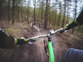 POV shot of the cyclist's | Free Photo - rawpixel