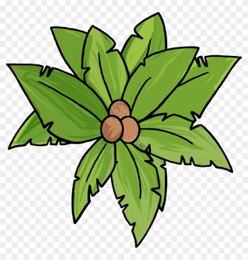 Power Outage Techy Tuesday &amp; A Winner &amp; A Free Palm - Tree