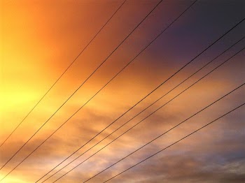 powerlines2.JPG