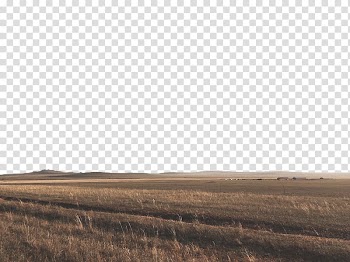 Prairie Grassland Menggubao Snack Bar, Wheat field transparent background PNG clipart