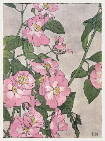 Prairie Rose (1915) by Hannah | Free Photo Illustration - rawpixel