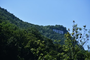 Prasov Sign on Green Trees