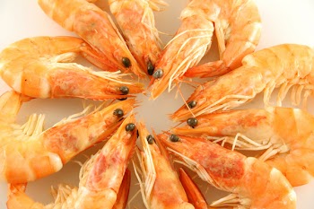 prawns_r.jpg