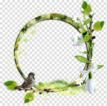Prayer Birthday Blog , gallery transparent background PNG clipart