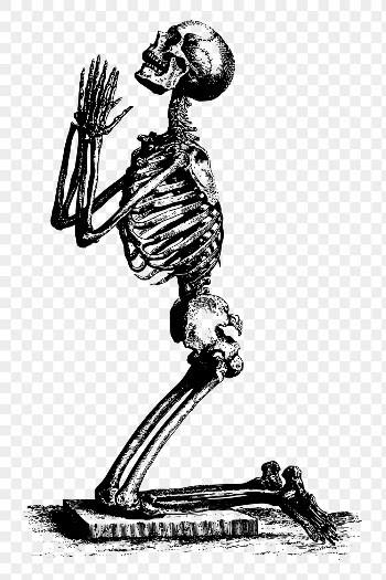 Praying skeleton png sticker vintage | Free PNG - rawpixel