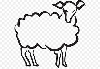 Precious Lamb Sheep Drawing Image Illustration - sheepish pictogram 
