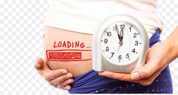 Pregnancy Childbirth Infertility Stock photography - Countdown to pregnancy 