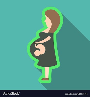 Pregnant woman feeling baby kick expecting vector image