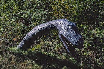 Prehistoric Forest, Onsted, Michigan (1988)… | Free public domain photo