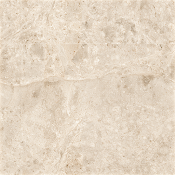 Premium Beige Marble Texture with Intricate Veining