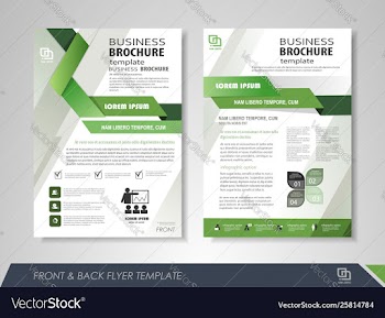 Presentation flyer design vector image