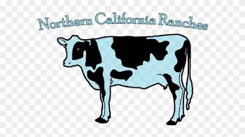 Prestigeartstudios Cow On Planks Framed Graphic Art