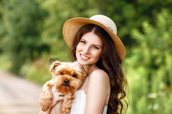 pretty beautiful young happy woman smiling with long hair in white dress holding small dog puppy Yorkshire terrier 