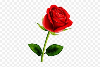 Pretty Flowers - Rose Flower Clipart