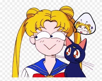 Pretty Guardians Screencaps - Serena Sailor Moon Gif