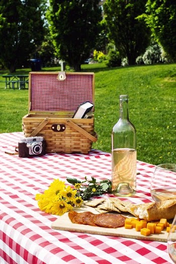 Pretty Picnic Table In Park