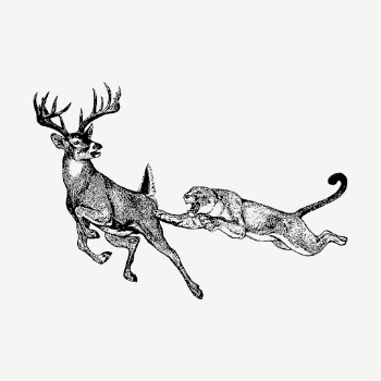 Prey collage element, vintage illustration | Free PSD - rawpixel