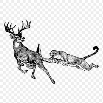 Prey drawing png sticker vintage | Free PNG - rawpixel