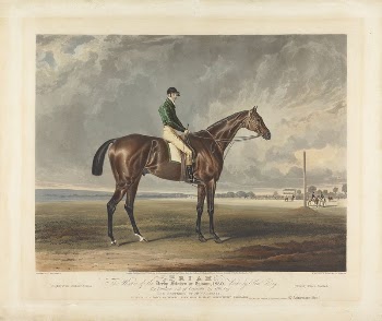 Priam. The Winner of the Derby | Free Photo - rawpixel