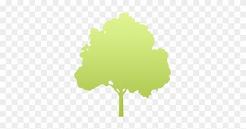 Prices Of Trees And Shrubs At Tooley's Trees And Delivery - Pro Tree Service
