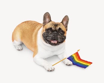 Pride month dog collage element | Free PSD - rawpixel