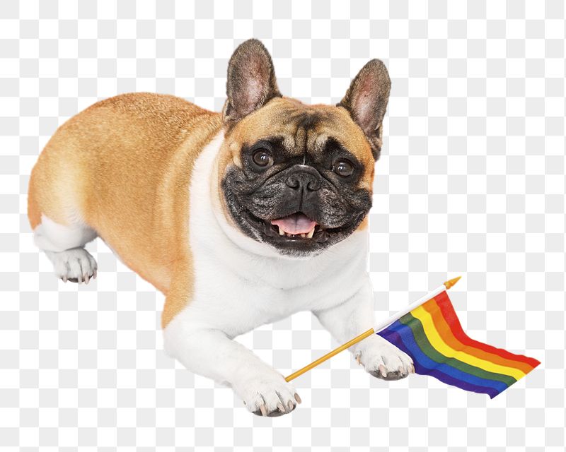 Pride month dog png sticker, | Free PNG - rawpixel