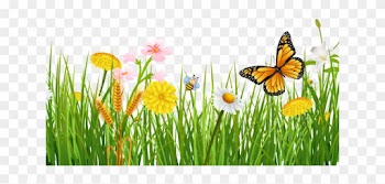 Primavera Com Borboletas Lindo Fundo Grama Livre Png - Nature Background Clipart Transparent