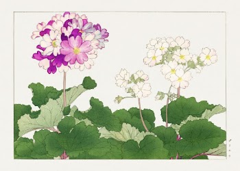 Primrose flower, Japanese woodblock art | Free Photo Illustration - rawpixel