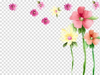 Primrose Moth orchids Spring Petal Malvales, Watercolor flowers transparent background PNG clipart