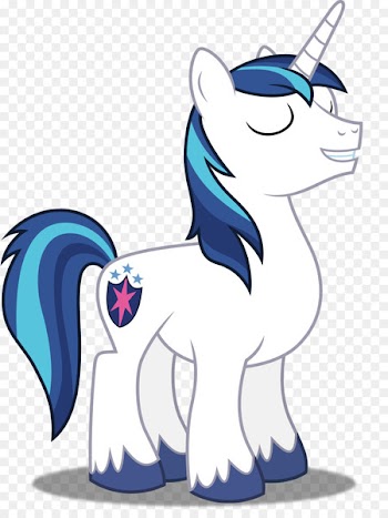 Princess Cadance Shining Armor Pony Twilight Sparkle Rainbow Dash - shining vector 