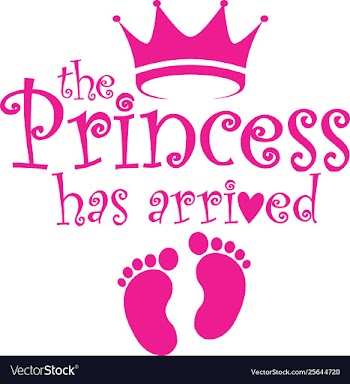 Princess has arrived label vector image