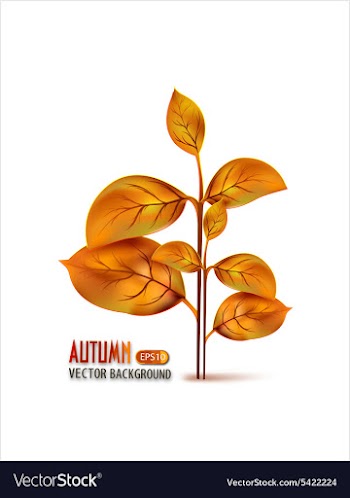 Print vector image