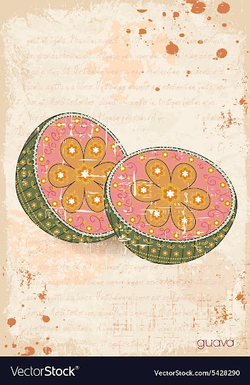 Print vector image