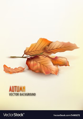 Print vector image