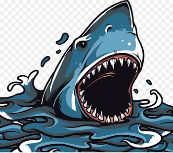 Printed T-shirt Decal - Sharks T-shirt printing 