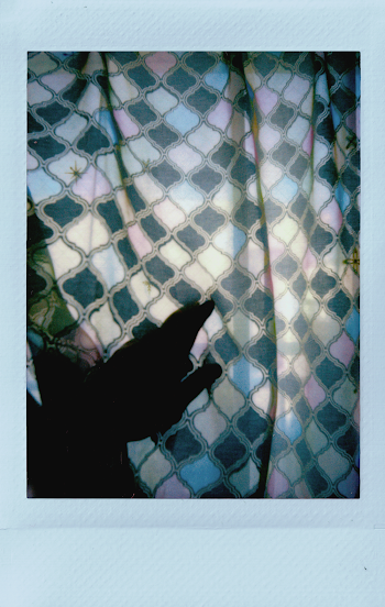 Printed Textile