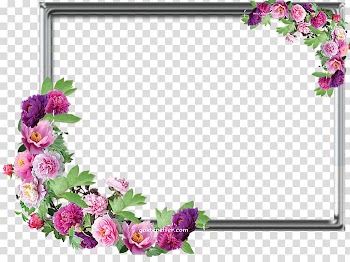 Printing and writing paper Floral design Frames Flower, others transparent background PNG clipart