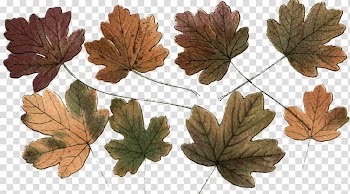 Printing Review Autumn leaf color Home, grupo transparent background PNG clipart