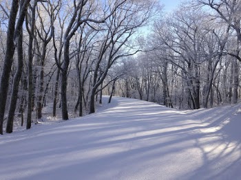 Pristine Snowy Skyline Drive. Free | Free Photo - rawpixel