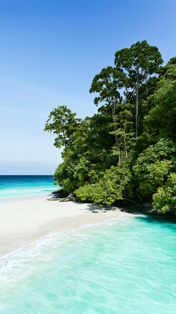 Pristine Tropical Beach with Lush Rainforest