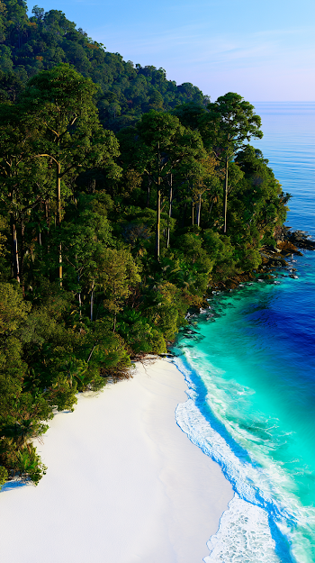 Pristine Tropical Beach with Lush Rainforest