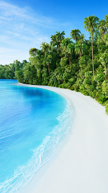 Pristine Tropical Beach with Turquoise Ocean and Lush Rainforest