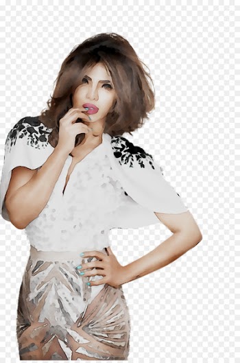 Priyanka Chopra India Film Don 2 Bollywood -  