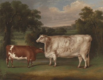 Prize Cattle in a Landscape | Free Photo - rawpixel