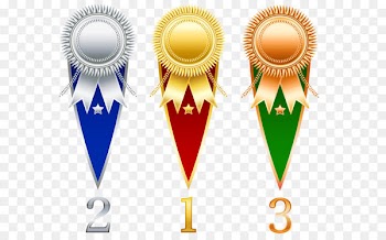 Prize Ribbon Clip art - Rosette Prize Set Transparent PNG Clipart 